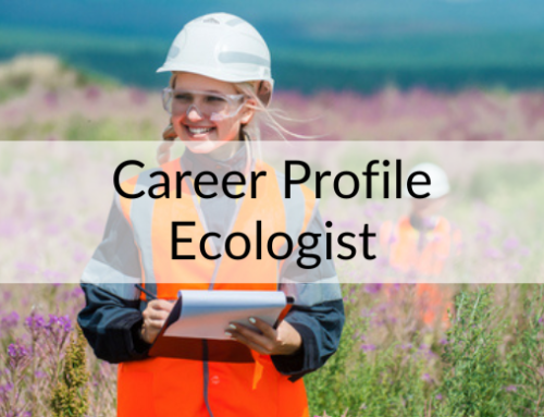 Career of the month: Ecologist